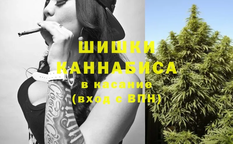 Бошки Шишки THC 21%  ссылка на мегу зеркало  Малая Вишера 